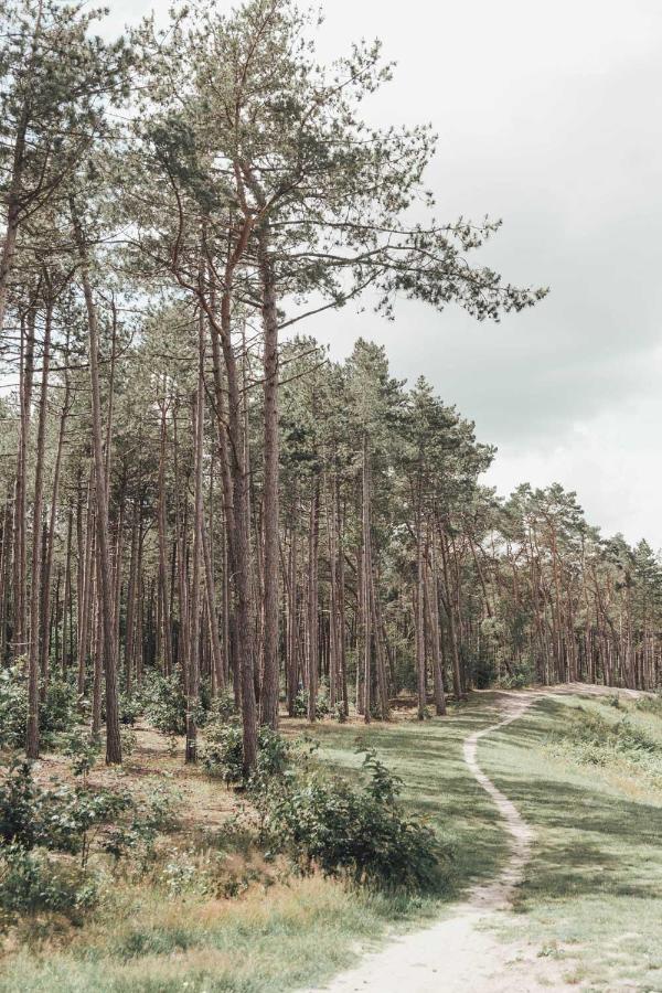 Boshuisje Op De Veluwe Nunspeet Bagian luar foto