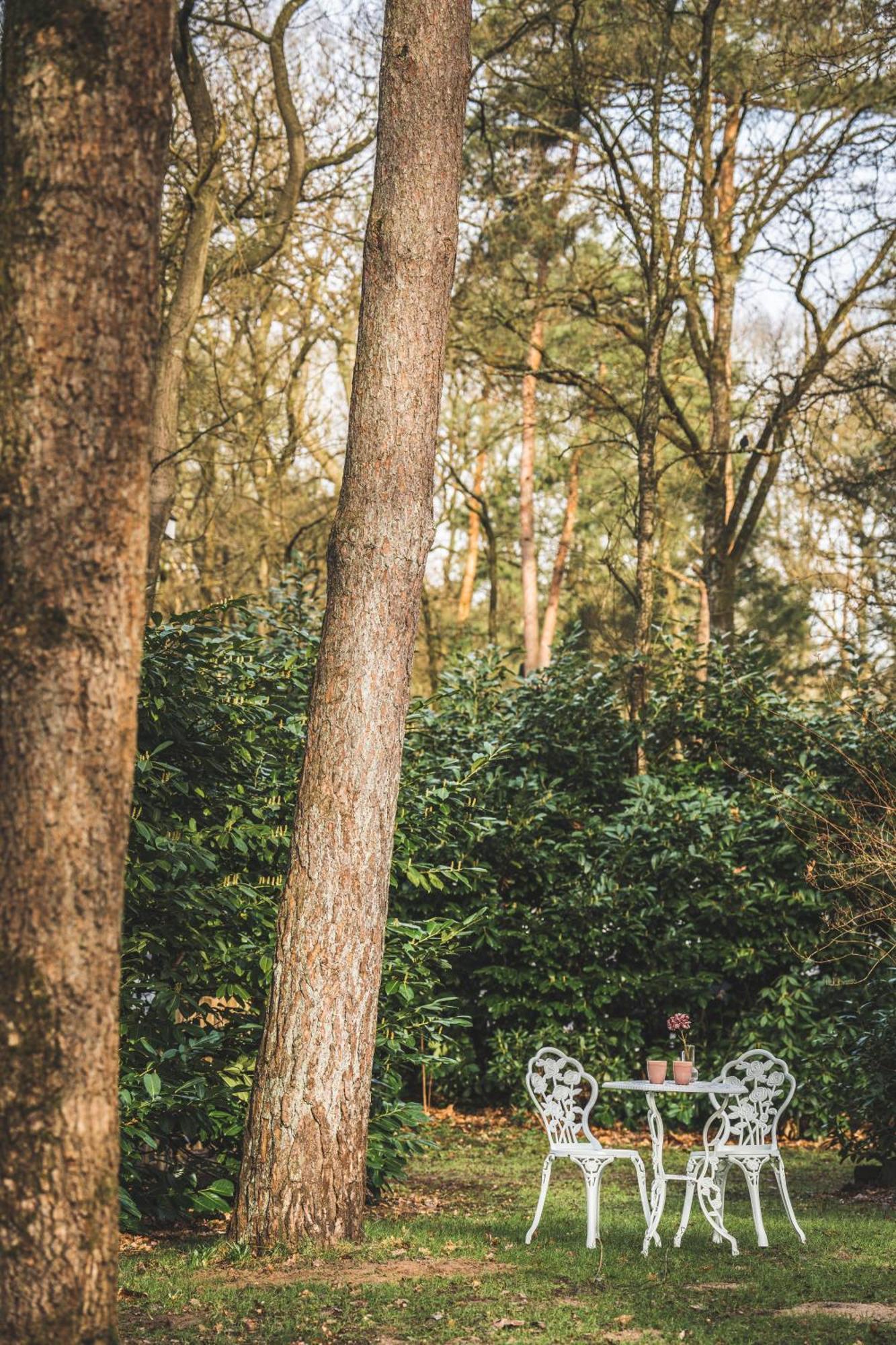 Boshuisje Op De Veluwe Nunspeet Bagian luar foto